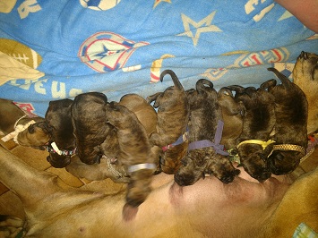 5 DAYS OLD